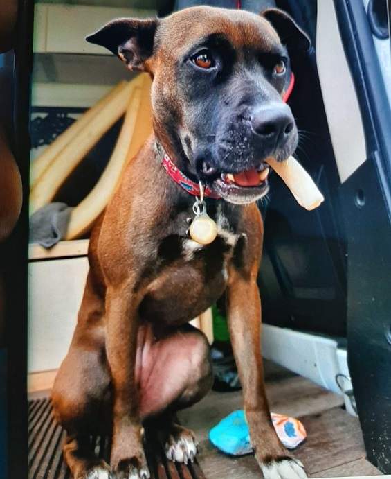 Camper has not been seen since Friday night. 