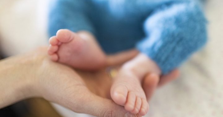 Olivia, Jack most popular baby names in Nova Scotia for 2021