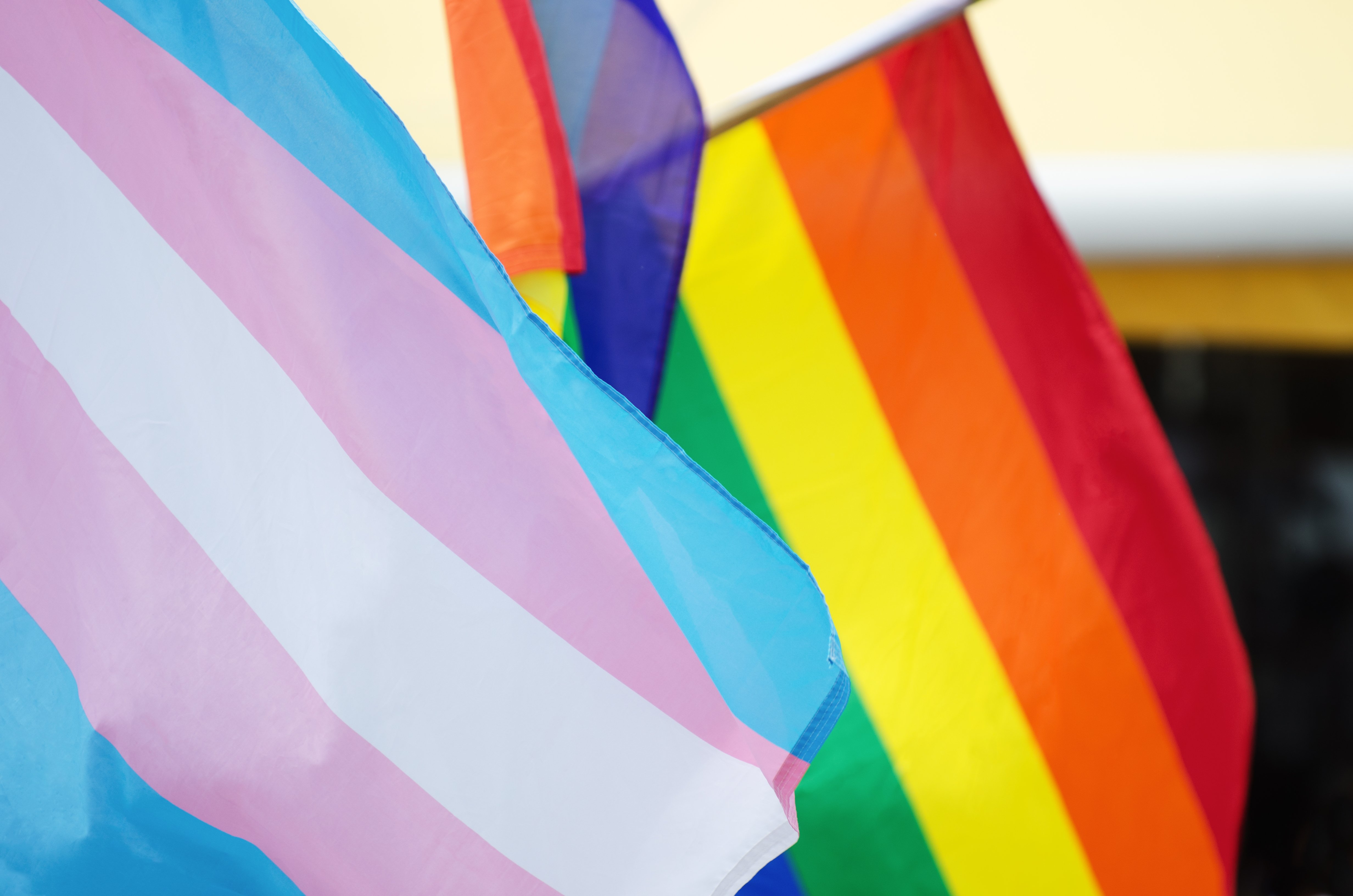 Norwich, Ont. councillor resigns after township officially bans all non-civic flags - London - Vimarsana News