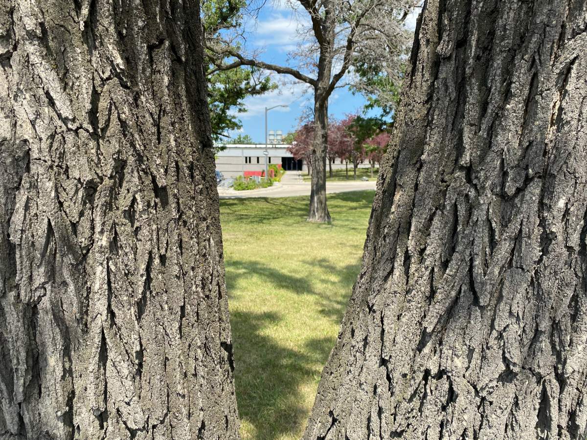 A piece of land at the former Assiniboia Residential School in Winnipeg could soon host a memorial featuring the names of all the students who attended.