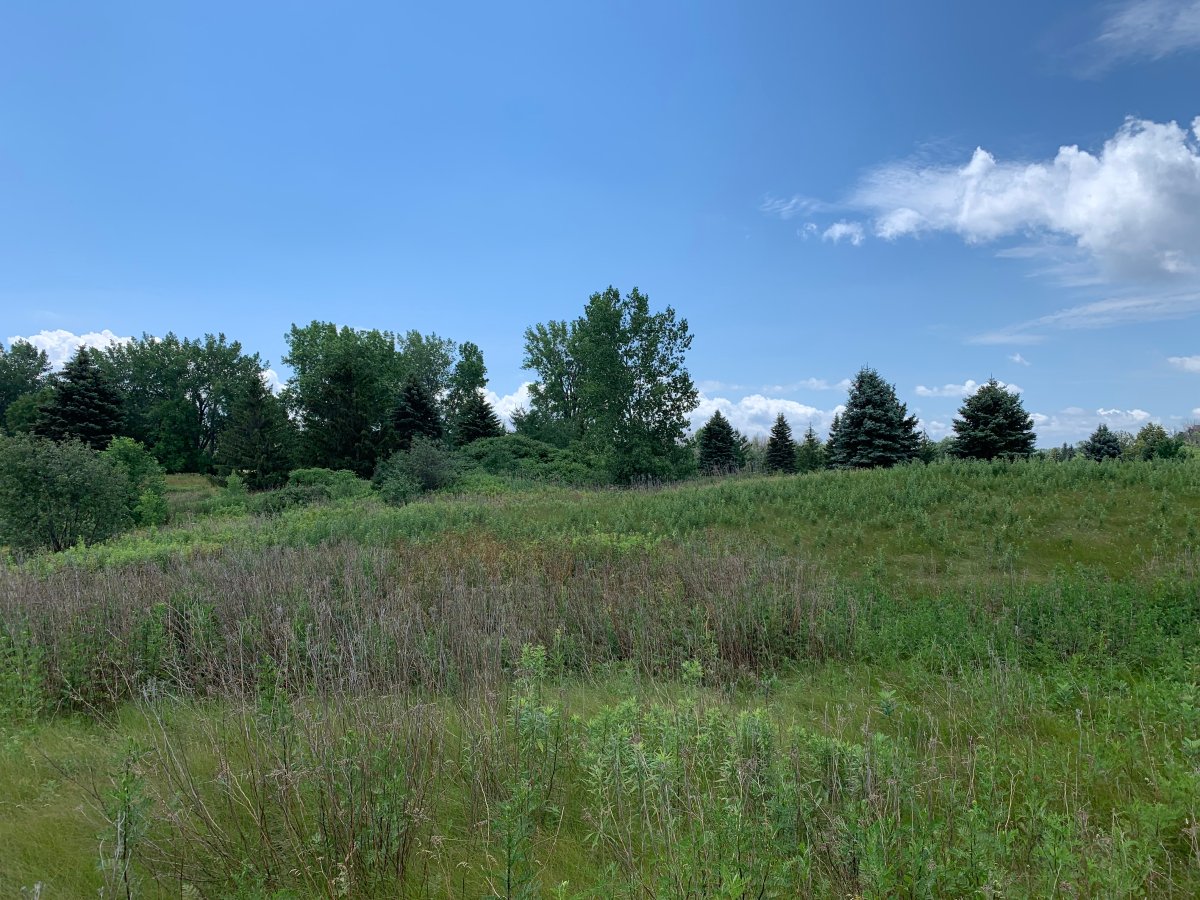 Green space near proposed site of Medicom plant to manufacture filters of N95 and other respiratory masks