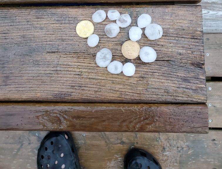 Hail the size of loonies from Thursday night's storm in Winnipeg Beach.