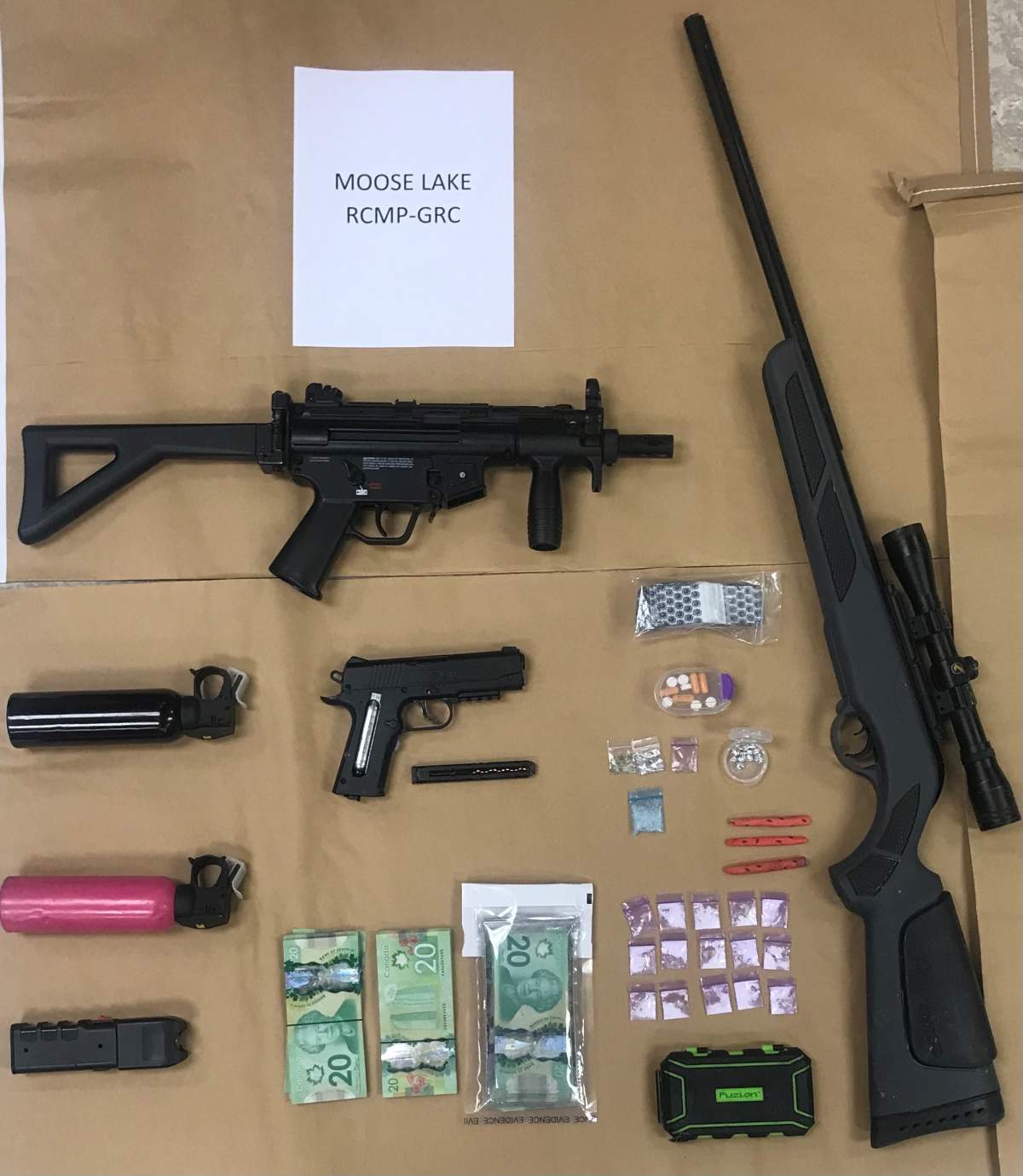 Multiple drugs and pellet guns were seized in Moose Lake.