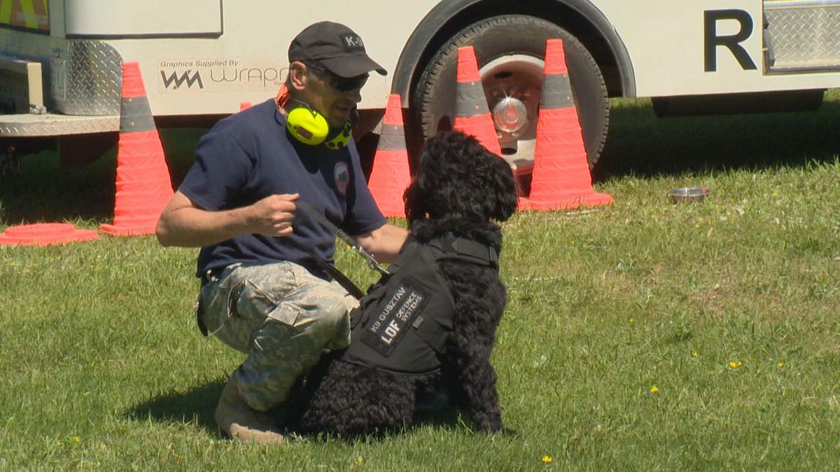 John Maczko commands ARSU One’s Portuguese water dog Gustav.