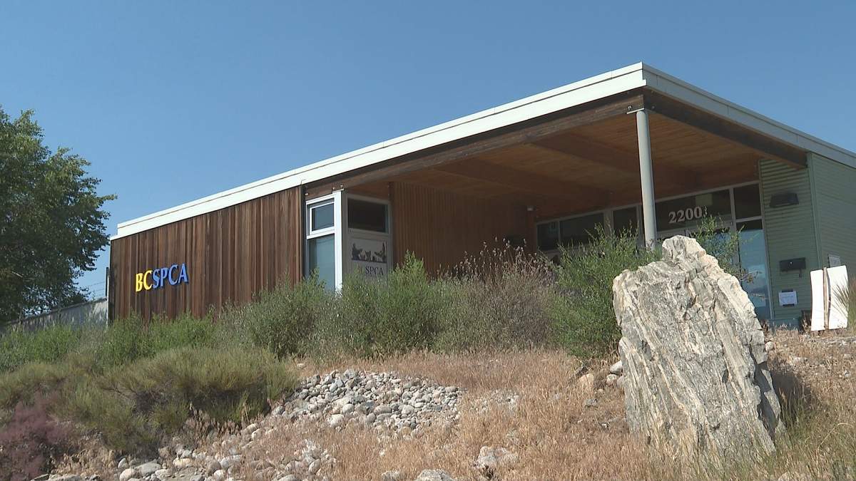 The SPCA’s South Okanagan-Similkameen branch in Penticton, B.C.