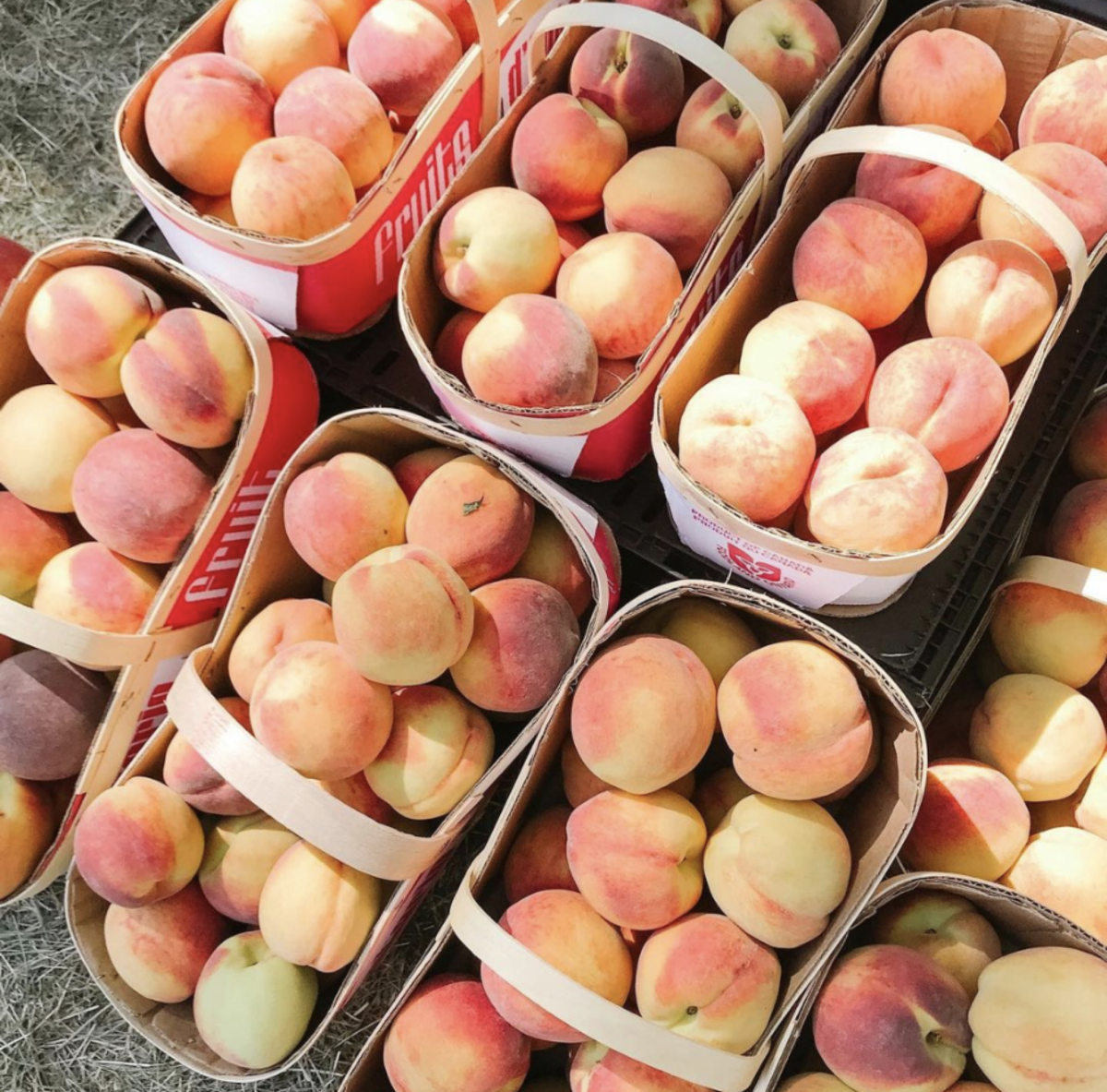 Organizers of the Winona Peach Festival cancelled for second year in a row