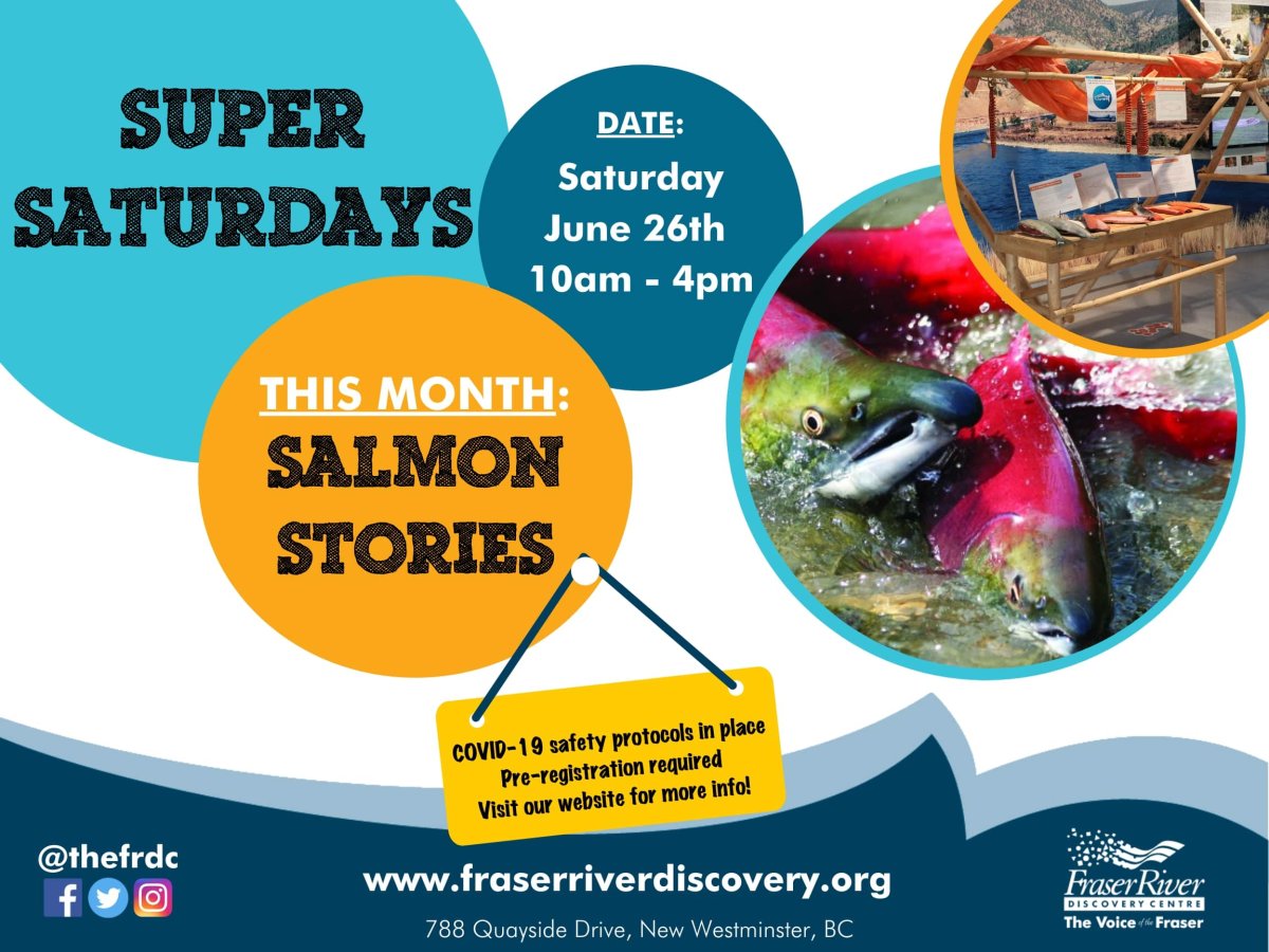 Super Saturdays: Salmon Stories - image