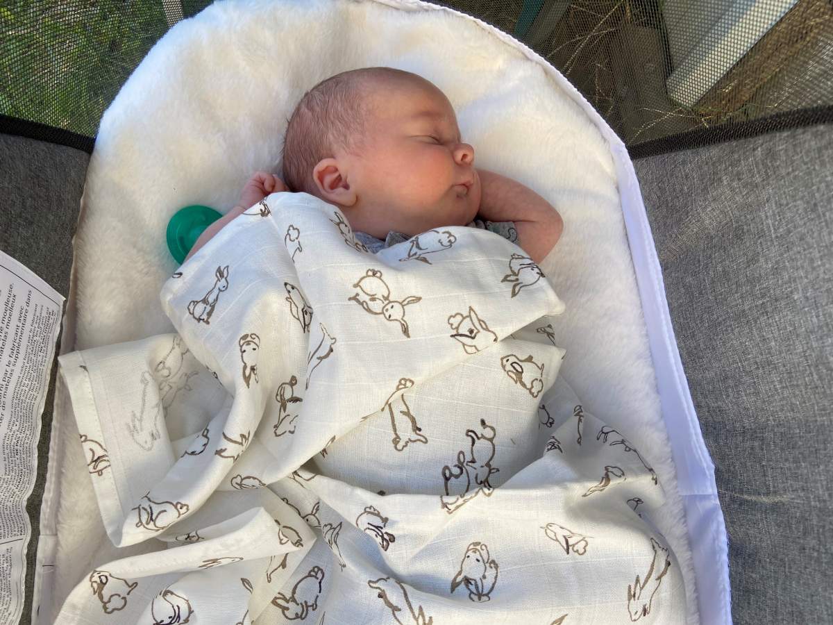 Five-week-old Oscar.