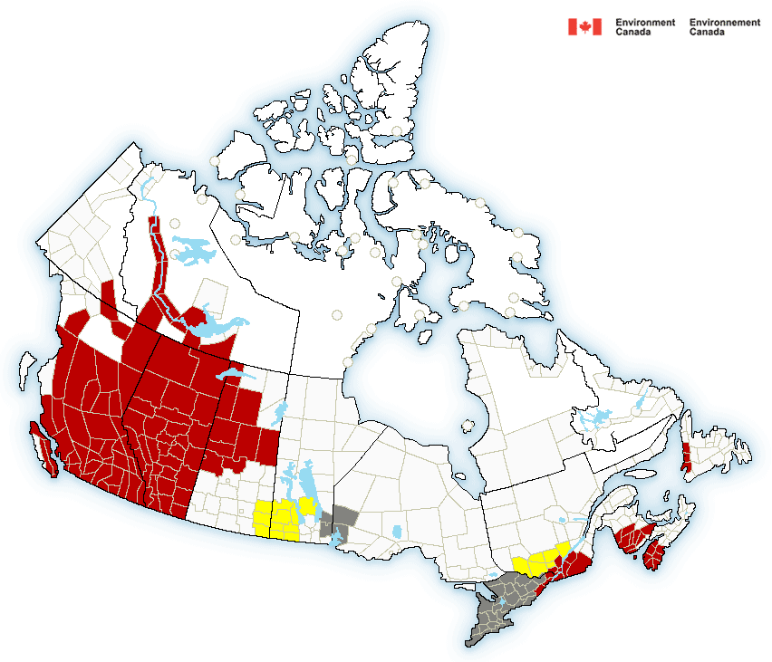 Edmonton set to reach 40 C mid-week as 11 heat records broken Saturday across Alberta - image