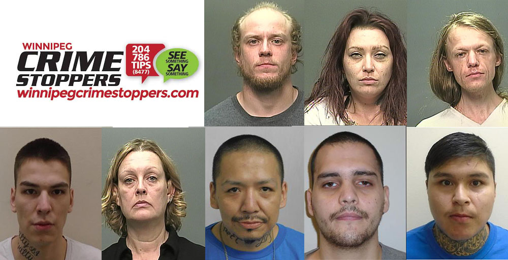 Winnipeg's most wanted for June 2021. Top (from left): Nicholson, Laverdure, Bondesen. Bottom (from left): Bear, Stewart, Monias, Smith, Gott.