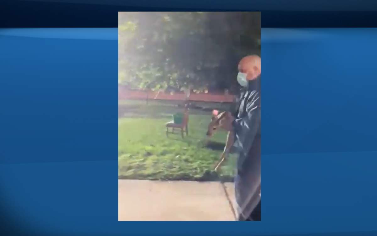 Screenshot of London firefighters rescuing a baby deer from a trench Tuesday evening.