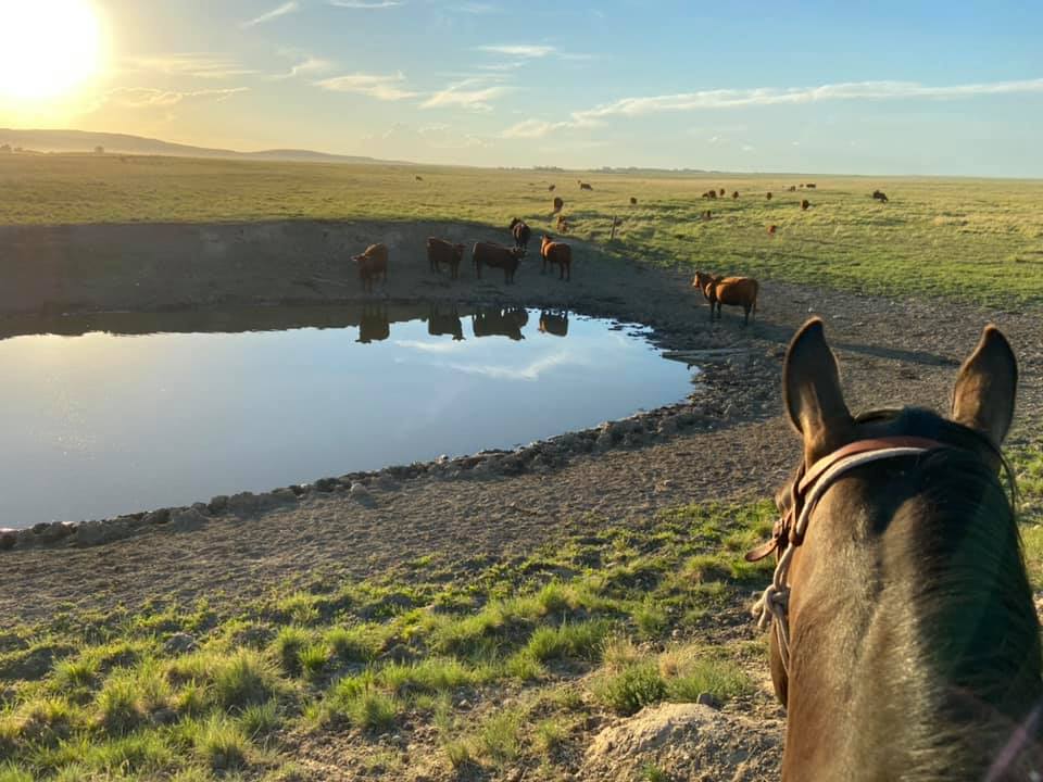 Правителството на Алберта обещава 125 милиона долара за пет години