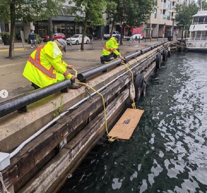Duckling Docks being installed along the Toronto waterfront.