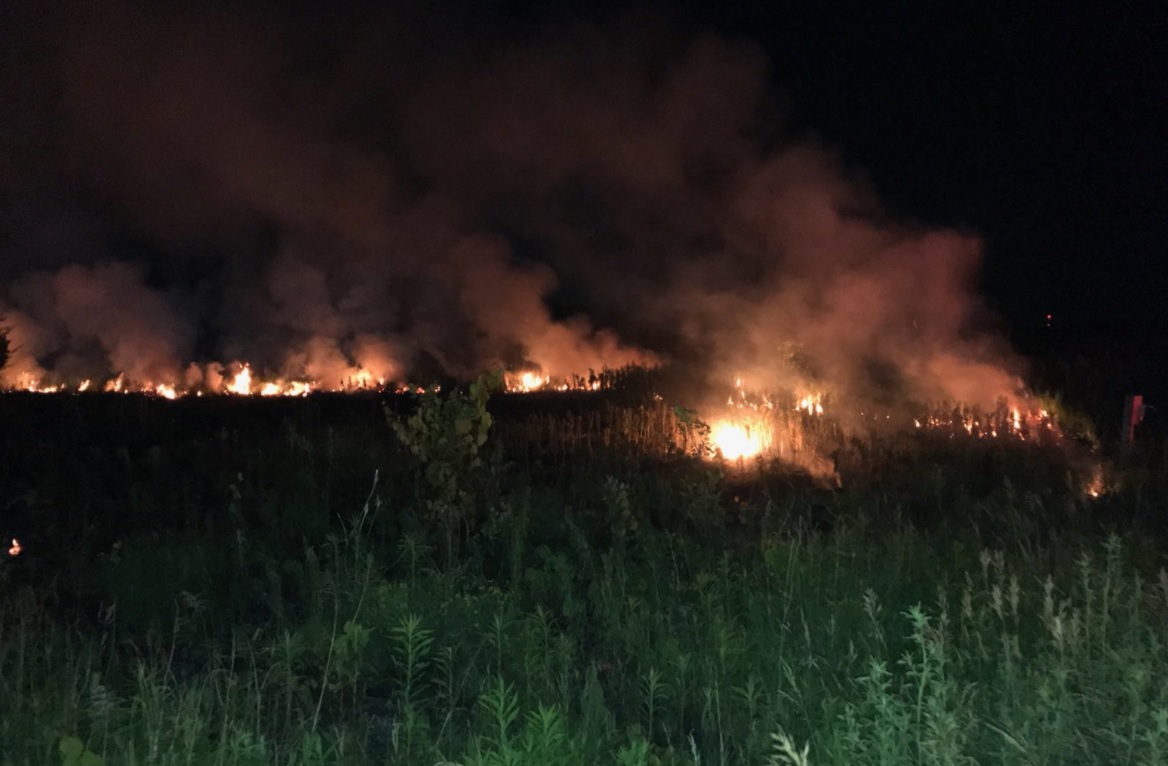 Multiple fire departments were called to battle a large brush fire near Colonel Talbot Road early Thursday morning.