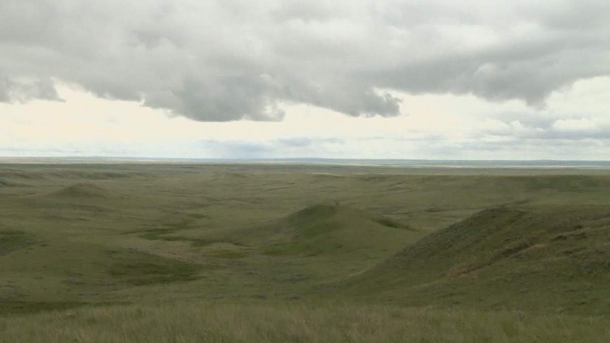 The Field of Dreams fundraiser has extended its deadline to July 16.