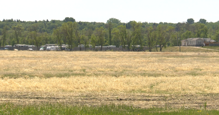 MKO, Sioux Valley call for government protection of residential school graves – Winnipeg | 24CA News