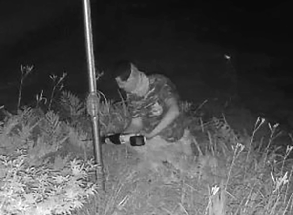 Suspects sought after two flag poles with Pride flags cut down in Norfolk County: OPP - image