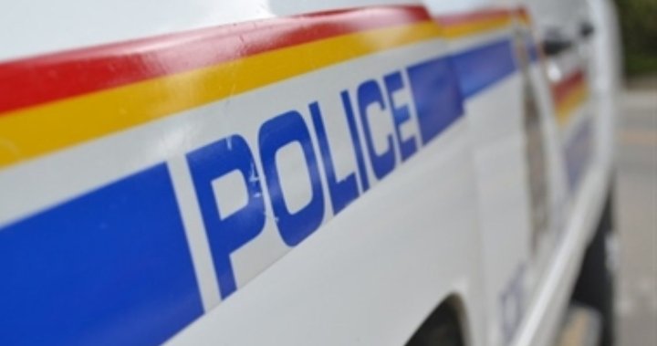 2 people dead in crash southeast of Edmonton: RCMP – Edmonton | Globalnews.ca