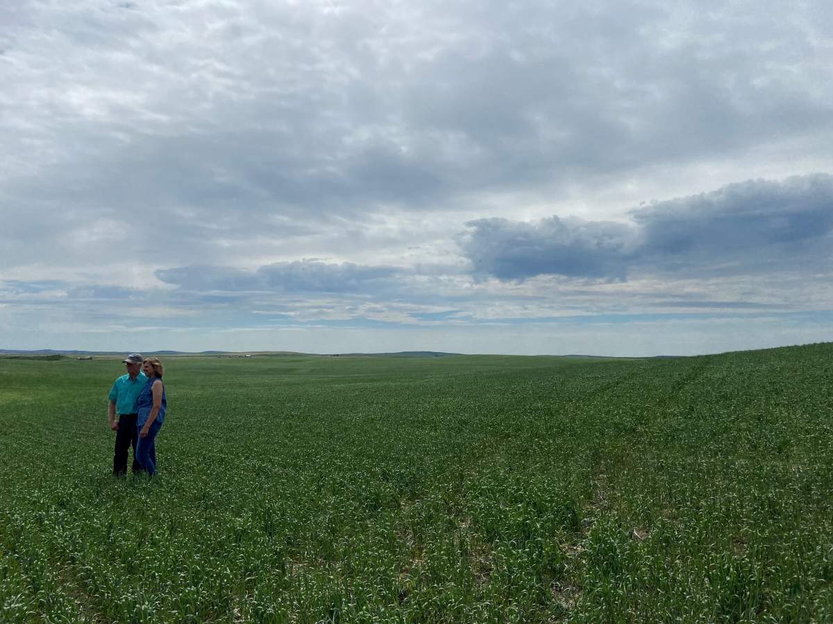 Wendy and Richard Clark.
