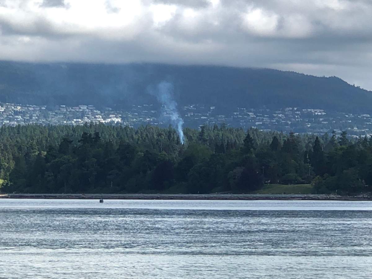 Smoke rises from a fire in a partially hollowed-out tree in Stanley Park in June, 2016. 