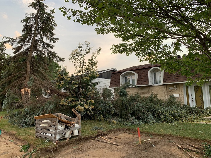 A tree was snapped in half after a tornado made landfall in Mascouche on Monday, June, 21, 2021. Gloria Henriquez/Global News