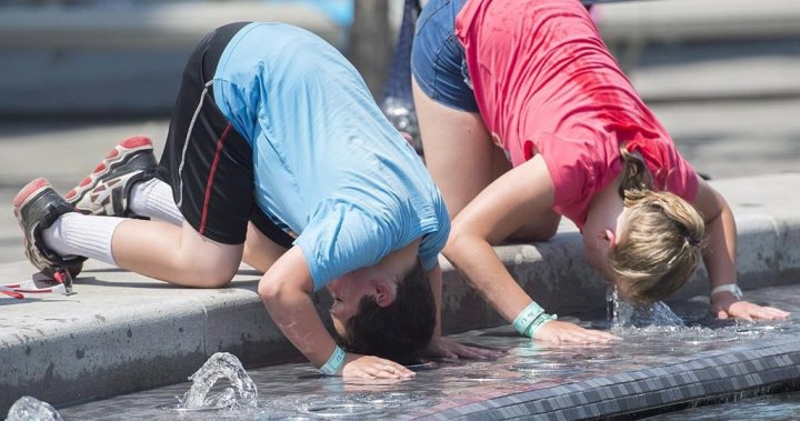 September scorcher: Montreal could feel as hot as 42 C, heat warnings issued
