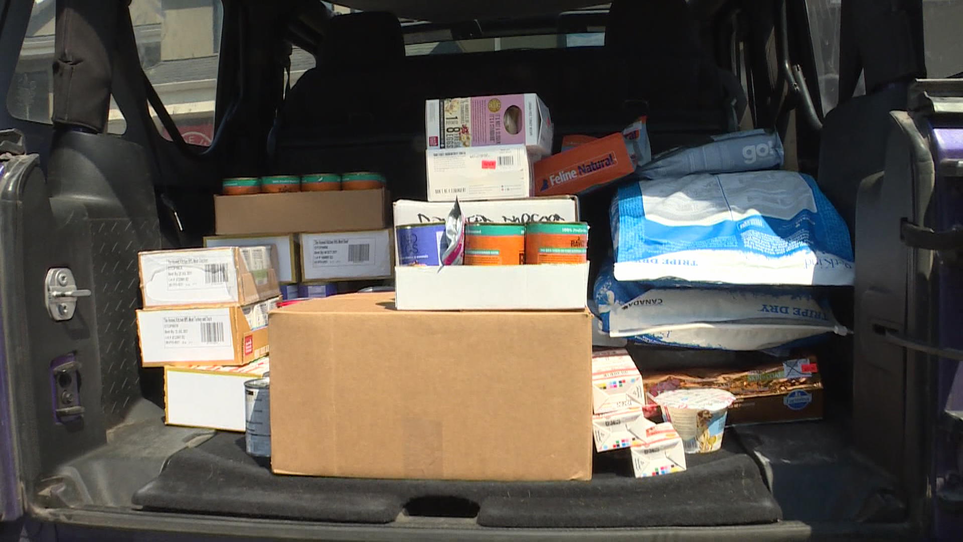 Animal Food Bank Over Extended With Wildfire Evacuee Support Okanagan Globalnews Ca