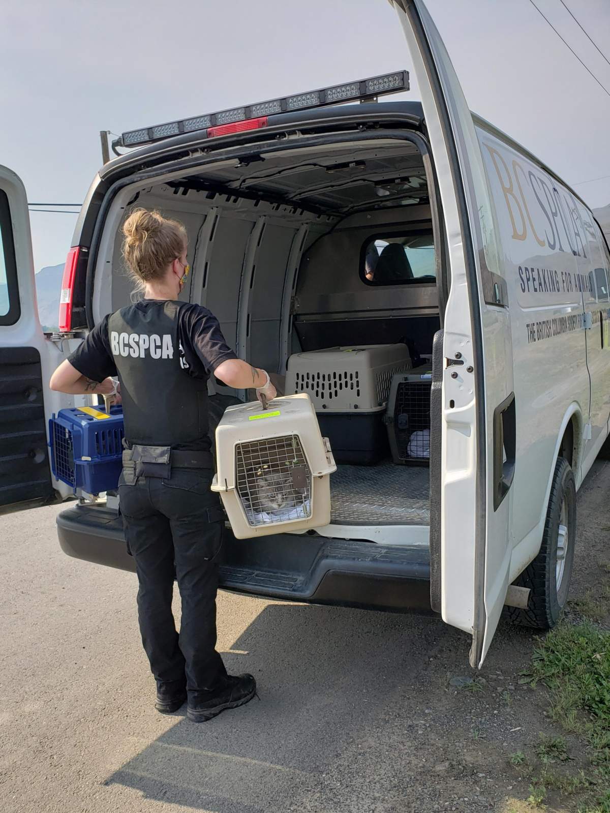 A BC SPCA officer transports an animal rescued from Lytton.