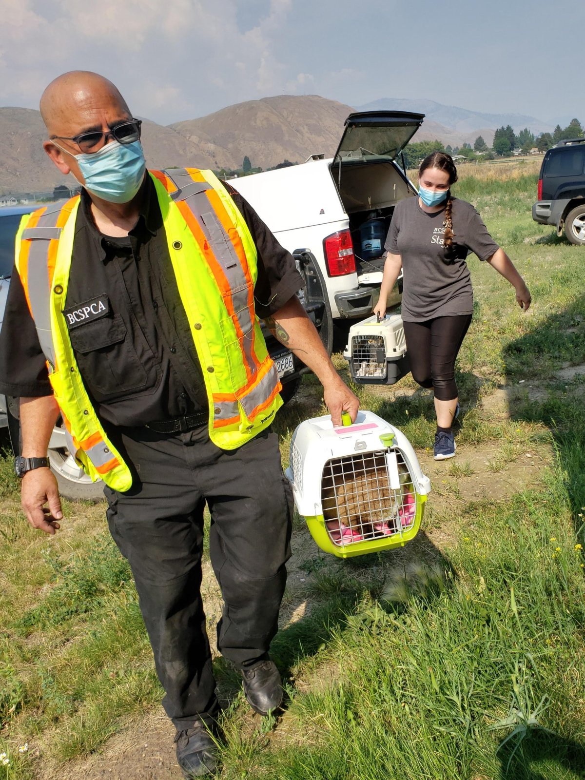 These Are Some Of The Animals Rescued From The Lytton B C Fire Zone Globalnews Ca