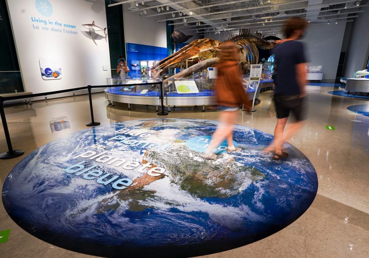 The Canadian Museum of Nature will be among the local museums open to the public on Aug. 2, 2021, Colonel By Day in Ottawa.