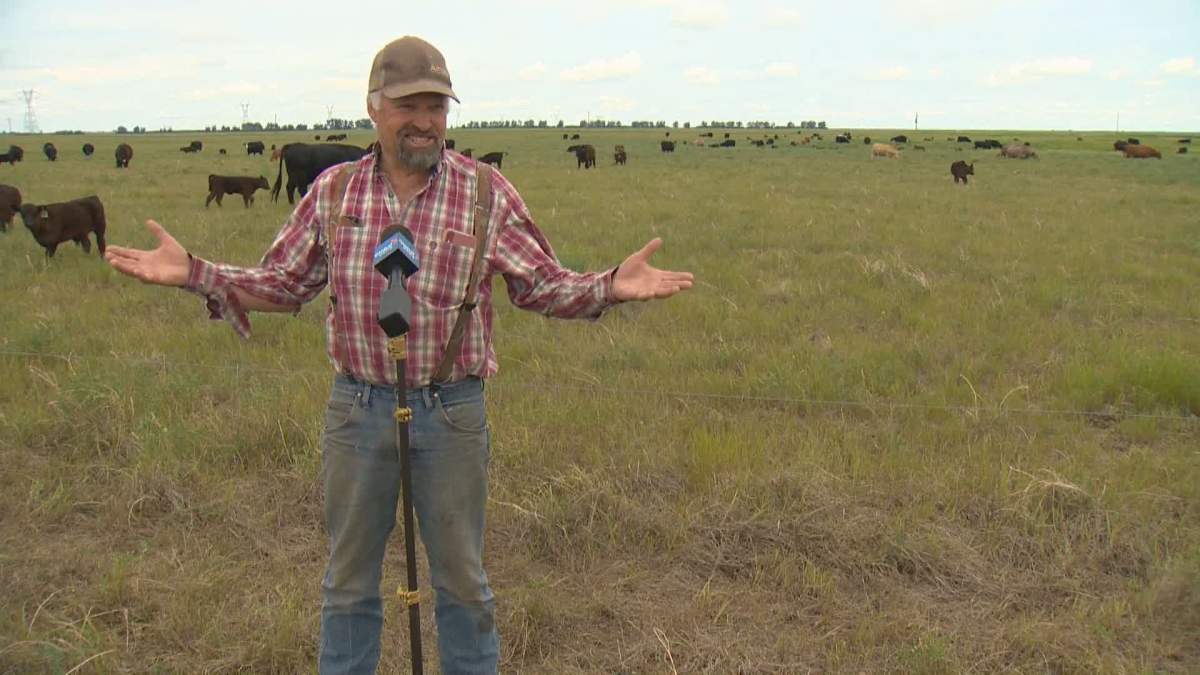 Doug Wray, Wray Ranch.