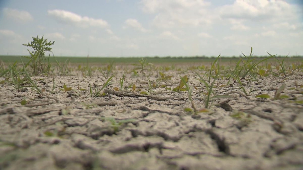Saskatchewan’s deficit is up $126.5 million due to significant agricultural support of over $700 million to address widespread drought conditions.