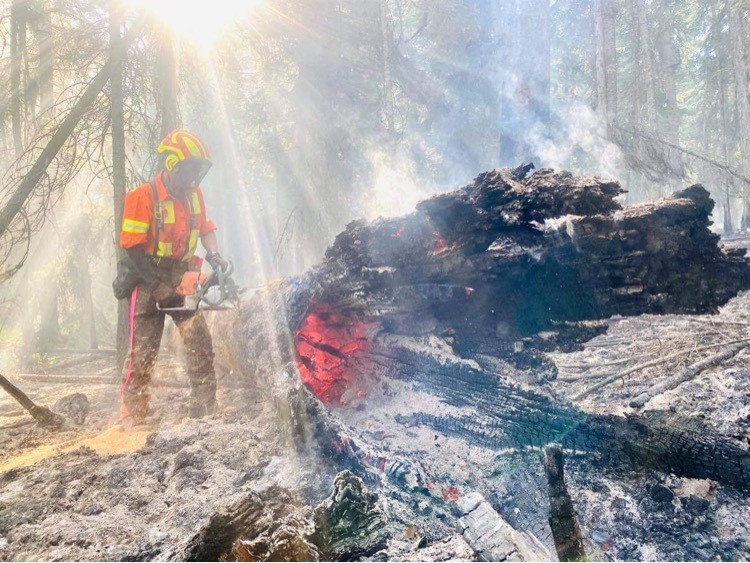 A danger tree faller at the Thoams Creek wildfire, located near Okanagan Falls. The fire is listed at 8,242 hectares, up from 7,918 hectares on Thursday.