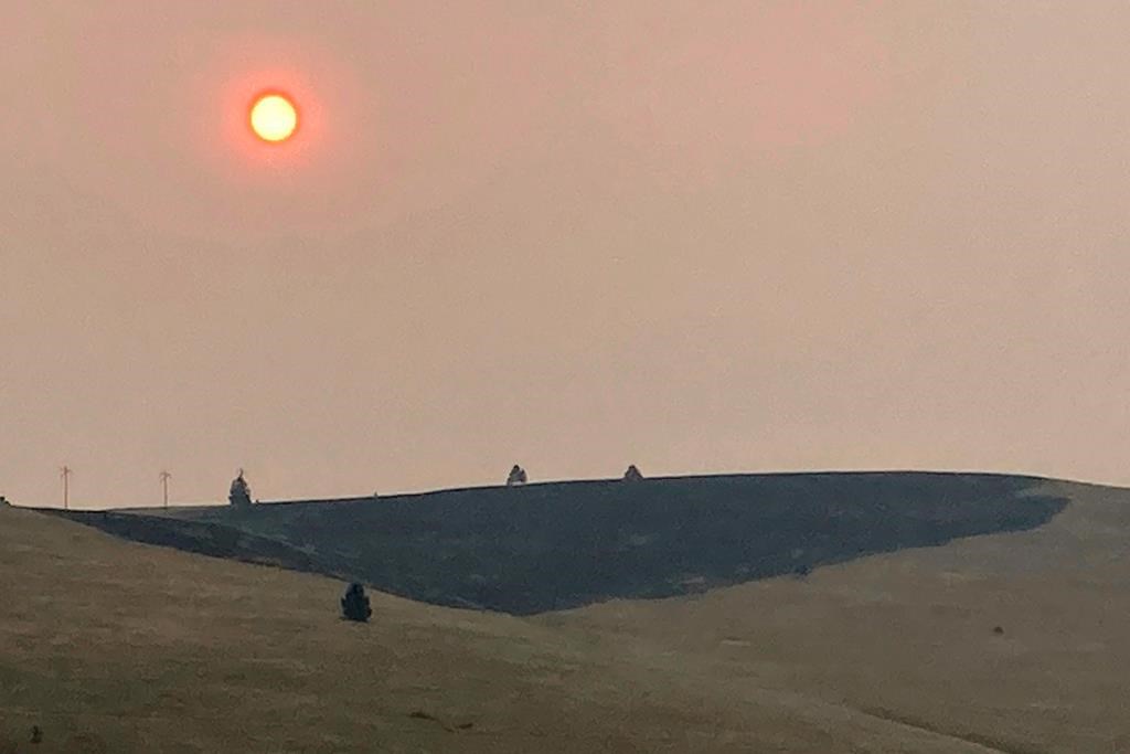 Most grants were around $30,000, but the largest was $300,000, and that went to the South Okanagan and Similkameen region.