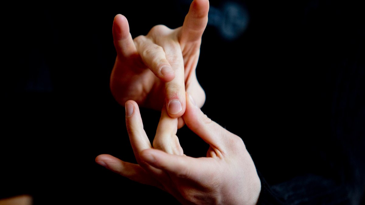 Introduction to American Sign Language - image