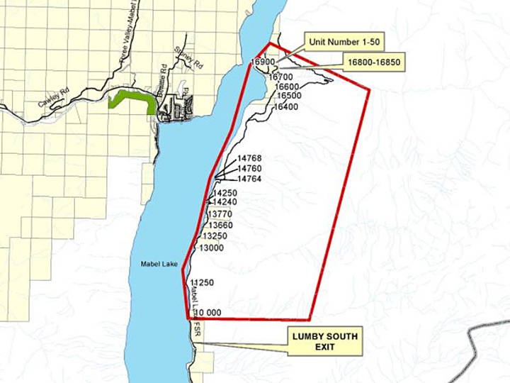 A map showing the boundary of the evacuation order issued for the Bunting Road wildfire, located on the east side of Mabel Lake in the North Okanagan.