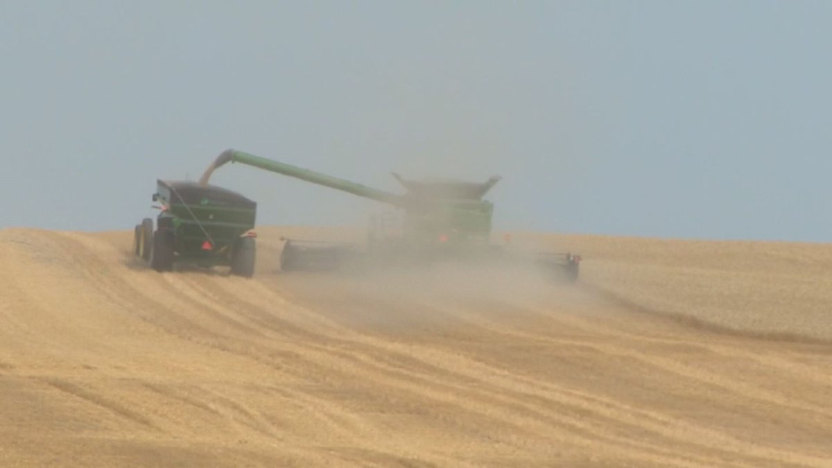 Canada’s crop production plummeted in 2021, says StatCan - image