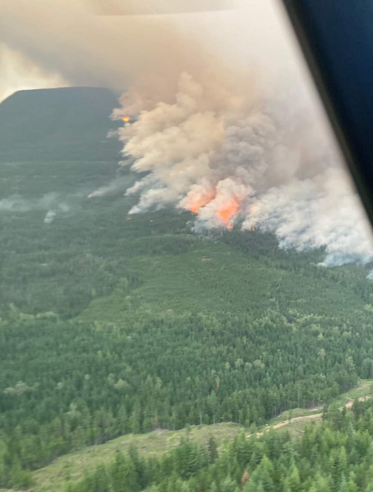 The Octopus Creek wildfire as seen on July 20, 2021.