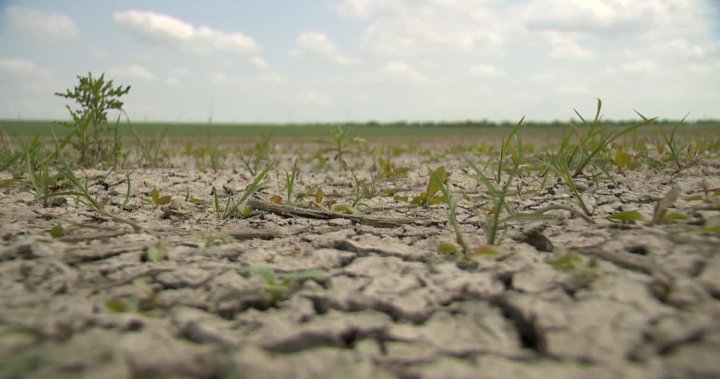 Crop insurance and drought relief boosting Saskatchewan deficit: Finance Minister