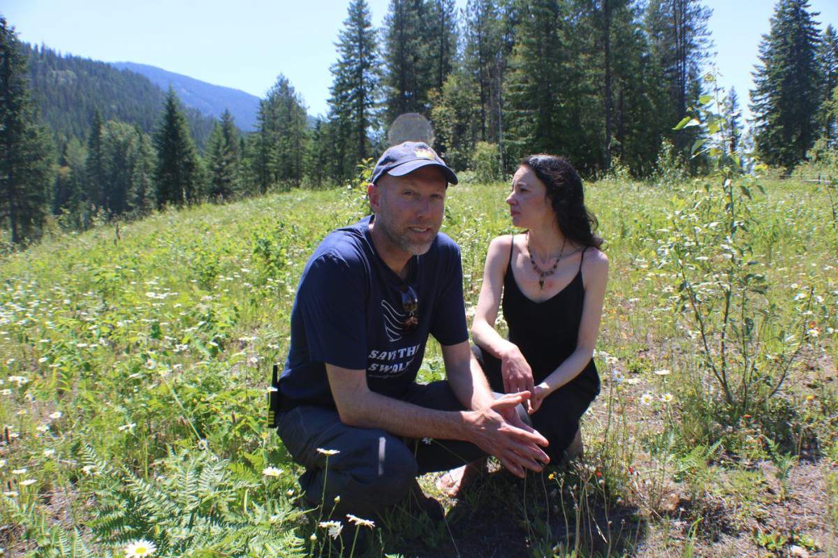 Abby and Steve Hardy are turning their Appledale-area property into a tiny-home community that offers a better work-life balance for modern-day knowledge workers.