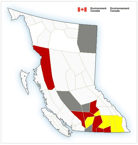 Watches alert you about weather conditions that are favorable for a storm or severe weather, which could cause safety concerns. Yellow indicates thunderstorm watches.