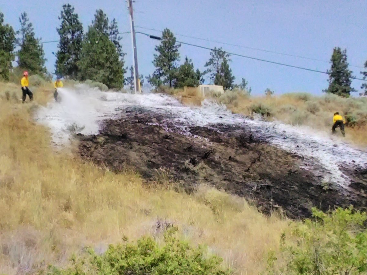 The grass fire was estimated at 40 metres by 20 metres (130 feet by 65 feet) and is deemed to have been accidental.