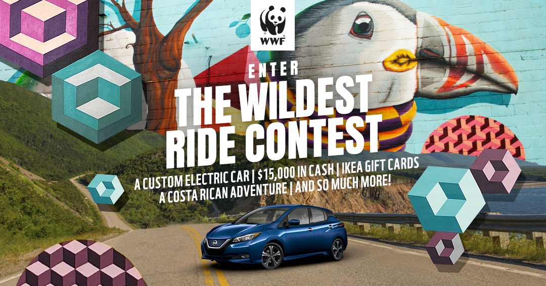 WWF Wildest Ride Contest - image