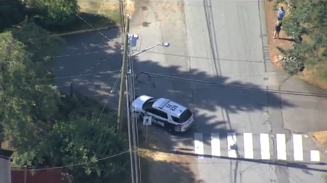 A suspect is in custody following a stabbing in Gunderson Park.