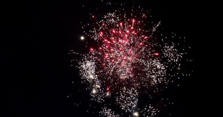 Fireworks discussion returns to London with delegation to speak at committee meeting next week