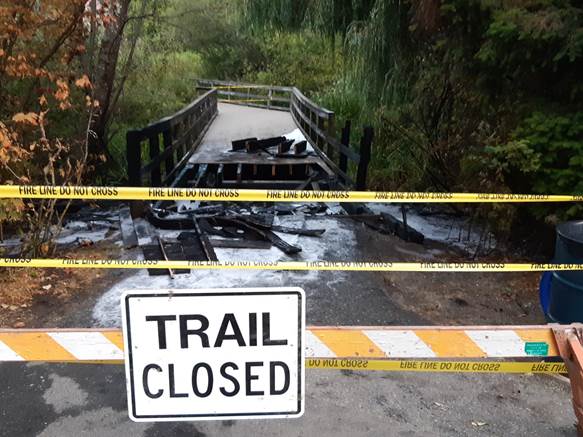 Police the fire that damaged this section of the Mill Lake Park boardwalk could have been deliberately set. 