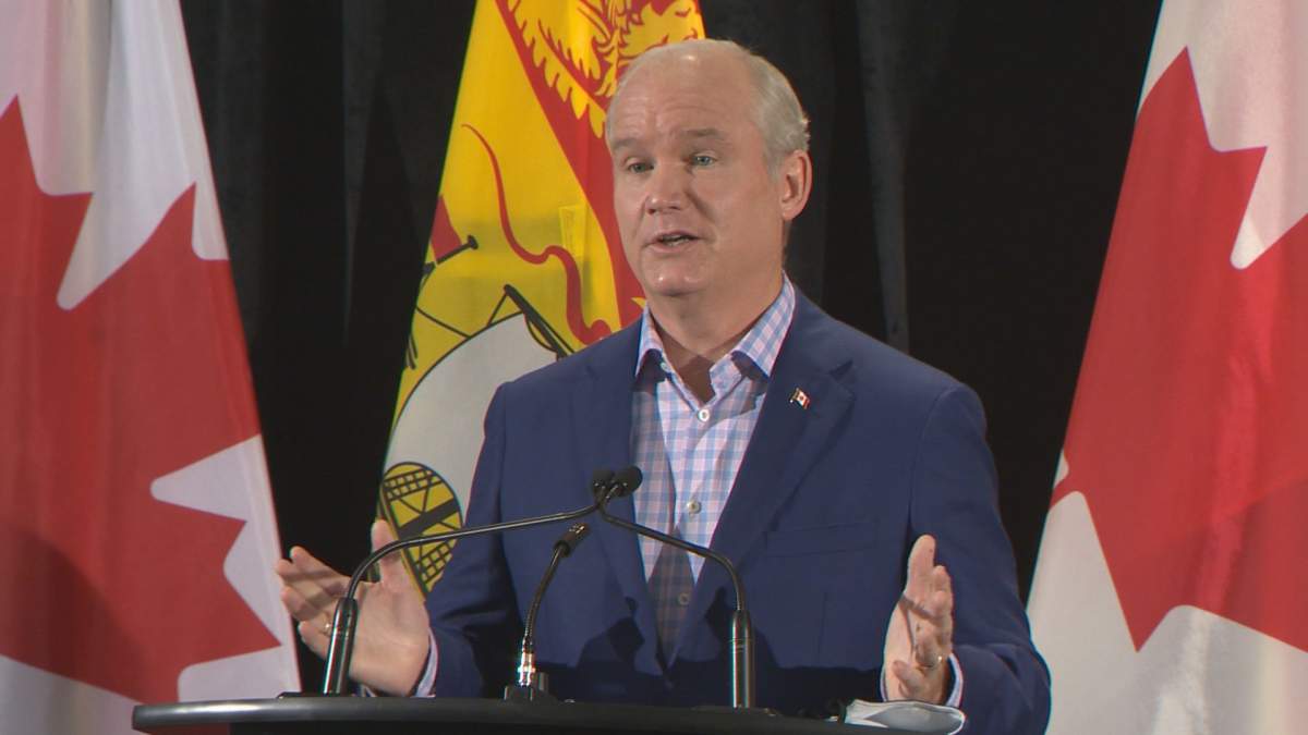 New Brunswick getting plenty of attention from Ottawa as rumoured federal election looms - image