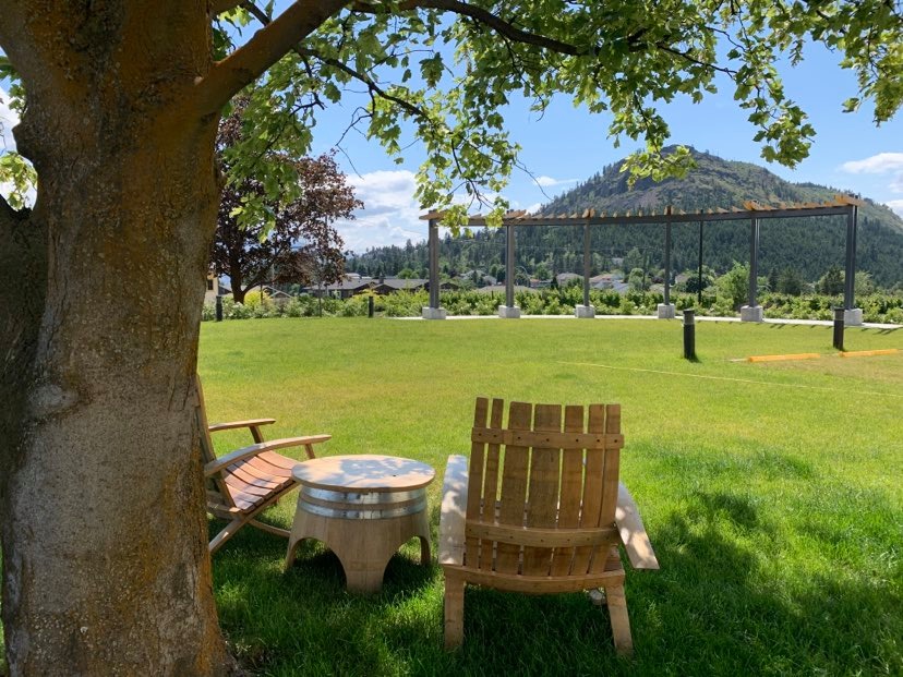 Tai Chi Class with Wine Country Tai Chi - image