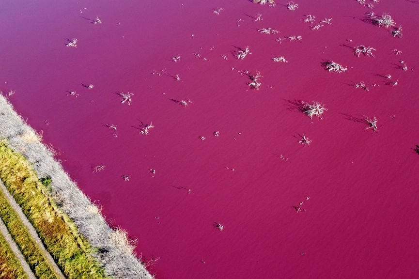 An aerial view of the Corfo lagoon that turned pink due to a chemical used to help shrimp conservation in fishing factories near Trelew, in the Patagonian province of Chubut, Argentina, on July 23, 2021.