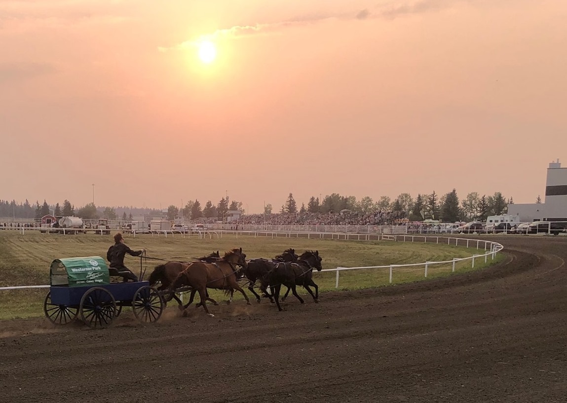 Wagons at Westerner ran July 23-25, 2021. A horse was put down at the North American Pony Chuckwagon Championships in Red Deer on Saturday, July 24, 2021.